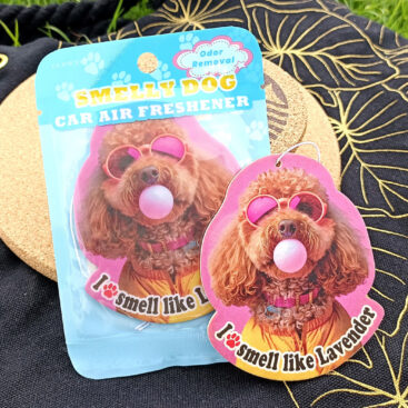 smelly dog car air freshener feature img