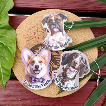 wholesale car air freshener smelly dog breed air freshener-10